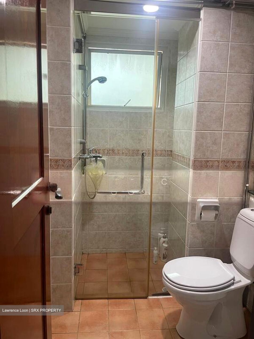 Emerald Garden (D1), Condominium #501874531